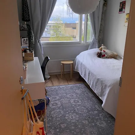 Arctic Aurora Skyline * Rovaniemi