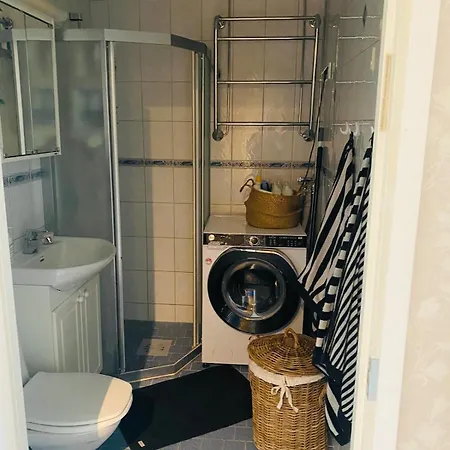 Arctic Aurora Skyline Rovaniemi