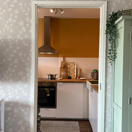 Arctic Aurora Skyline Daire