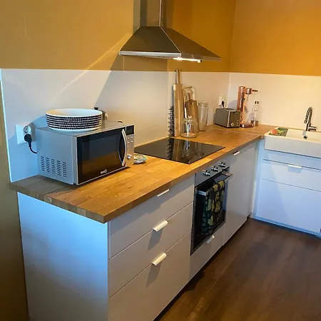 Arctic Aurora Skyline