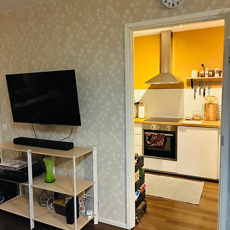 Arctic Aurora Skyline Appartement