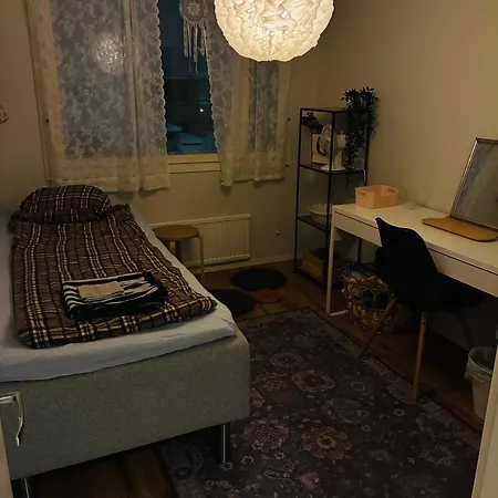 Arctic Aurora Skyline