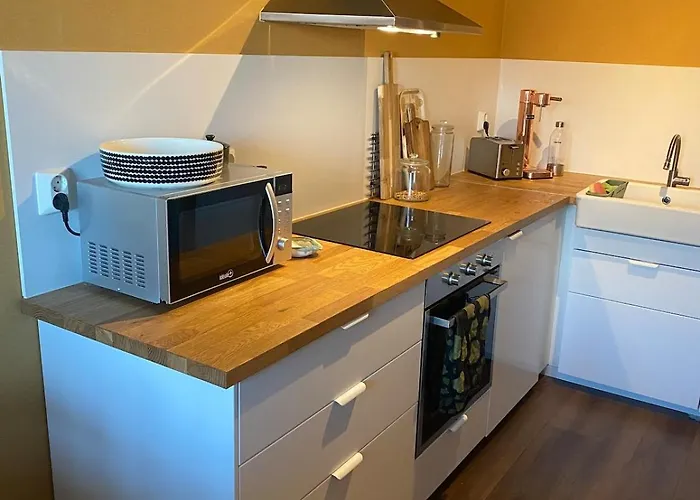 Arctic Aurora Skyline