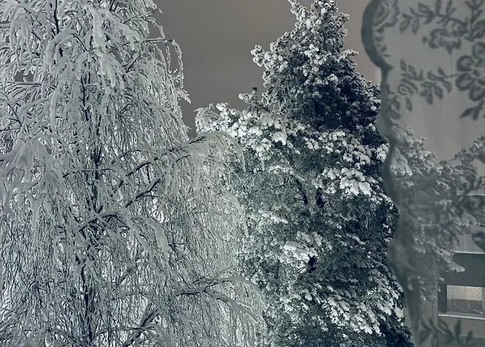 Arctic Aurora Skyline Διαμέρισμα Ροβανιέμι