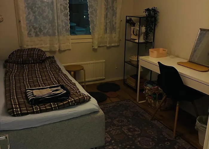 Arctic Aurora Skyline